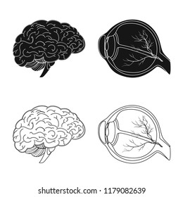 Vector design of body and human symbol. Set of body and medical vector icon for stock.