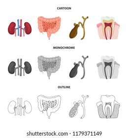 Vector design of body and human symbol. Collection of body and medical stock symbol for web.