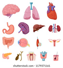 Vector design of body and human symbol. Set of body and medical stock symbol for web. Vector design of body and human symbol. Set of body and medical stock symbol for web.