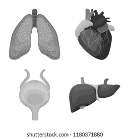 Vector design of body and human symbol. Set of body and medical stock vector illustration.