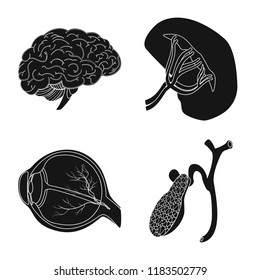 Vector design of body and human symbol. Set of body and medical stock vector illustration.