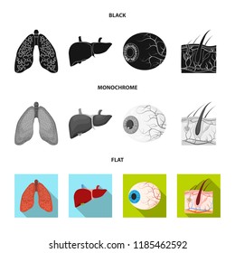 Vector design of body and human symbol. Set of body and medical vector icon for stock.