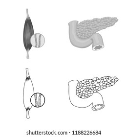 Vector design of body and human symbol. Collection of body and medical vector icon for stock.