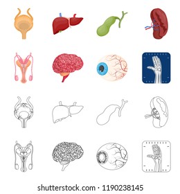 Vector design of body and human symbol. Set of body and medical vector icon for stock.