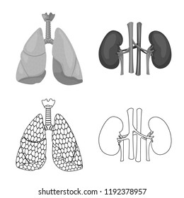 Vector design of body and human symbol. Set of body and medical stock vector illustration.