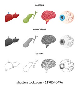 Vector design of body and human symbol. Set of body and medical vector icon for stock.