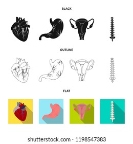 Vector design of body and human symbol. Set of body and medical stock vector illustration.