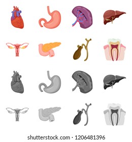 Vector design of body and human symbol. Set of body and medical stock vector illustration.