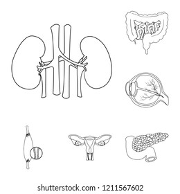 Vector design of body and human symbol. Set of body and medical stock vector illustration.