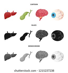 Vector design of body and human symbol. Collection of body and medical vector icon for stock.