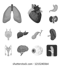 Vector design of body and human symbol. Set of body and medical stock vector illustration.