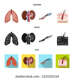 Vector design of body and human symbol. Set of body and medical vector icon for stock.
