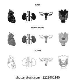 Vector design of body and human symbol. Collection of body and medical stock vector illustration.