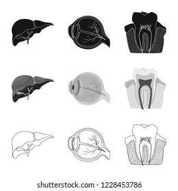 Vector design of body and human symbol. Set of body and medical stock vector illustration.