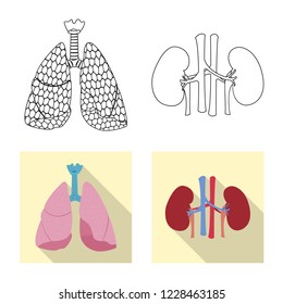 Vector design of body and human symbol. Set of body and medical vector icon for stock.