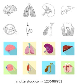 Vector design of body and human symbol. Collection of body and medical vector icon for stock.