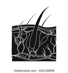 Diseño vectorial de cuerpo y símbolo humano. Conjunto de ícono de cuerpo y vector médico para material.