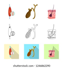 Vector design of body and human symbol. Collection of body and medical stock vector illustration.