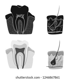 Vector design of body and human symbol. Collection of body and medical vector icon for stock.