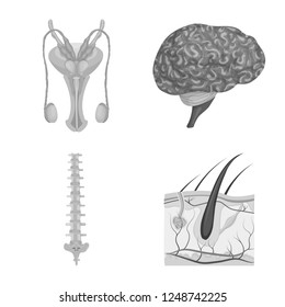 Vector design of body and human symbol. Set of body and medical stock vector illustration.