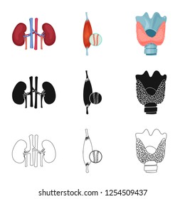 Vector design of body and human symbol. Collection of body and medical vector icon for stock.