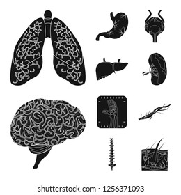 Vector design of body and human symbol. Collection of body and medical vector icon for stock.