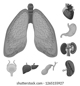 Vector design of body and human symbol. Collection of body and medical stock vector illustration.