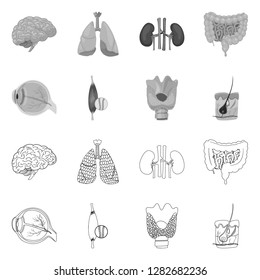 Vector design of body and human symbol. Collection of body and medical vector icon for stock.