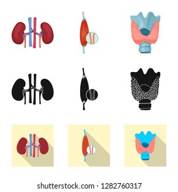 Vector design of body and human symbol. Set of body and medical stock symbol for web.