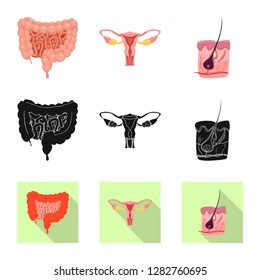 Vector design of body and human symbol. Set of body and medical stock vector illustration.