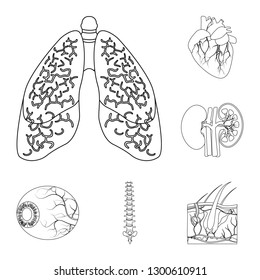 Vector design of body and human symbol. Set of body and medical stock symbol for web.