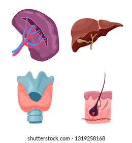 Vector design of body and human symbol. Collection of body and medical stock vector illustration.