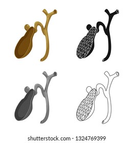 Vector design of body and human symbol. Set of body and medical stock symbol for web.