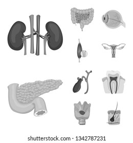Vector design of body and human symbol. Collection of body and medical stock symbol for web.