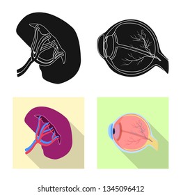 Vector design of body and human symbol. Set of body and medical stock vector illustration.