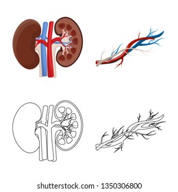 Vector design of body and human symbol. Set of body and medical stock symbol for web.
