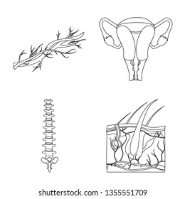 Vector design of body and human symbol. Collection of body and medical vector icon for stock.
