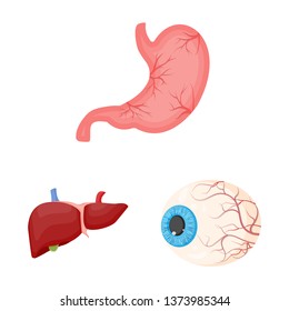 Vector design of body and human symbol. Collection of body and medical stock symbol for web.