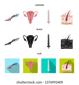 Vector design of body and human symbol. Collection of body and medical stock symbol for web.