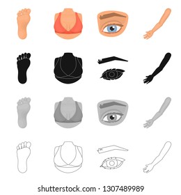 Vector design of body and part icon. Set of body and anatomy stock vector illustration.