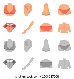 Vector design of body and part icon. Collection of body and anatomy stock vector illustration.