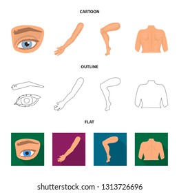 Vector design of body and part icon. Collection of body and anatomy vector icon for stock.
