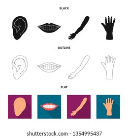 Vector design of body and part icon. Set of body and anatomy stock vector illustration.