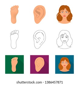 Vector design of body and part icon. Collection of body and anatomy stock vector illustration.