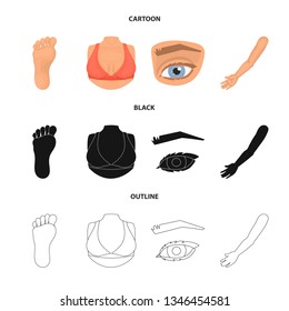 Vector design of body and part logo. Collection of body and anatomy stock vector illustration.