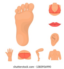 Vector design of body and part logo. Collection of body and anatomy vector icon for stock.