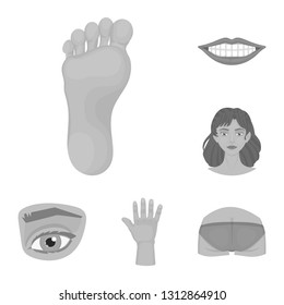 Vector design of body and part sign. Set of body and anatomy stock vector illustration.
