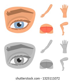 Vector design of body and part sign. Collection of body and anatomy stock symbol for web.