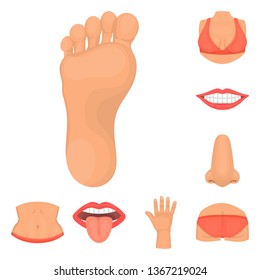 Vector design of body and part sign. Set of body and anatomy stock symbol for web.