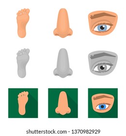 Vector design of body and part sign. Collection of body and anatomy stock vector illustration.